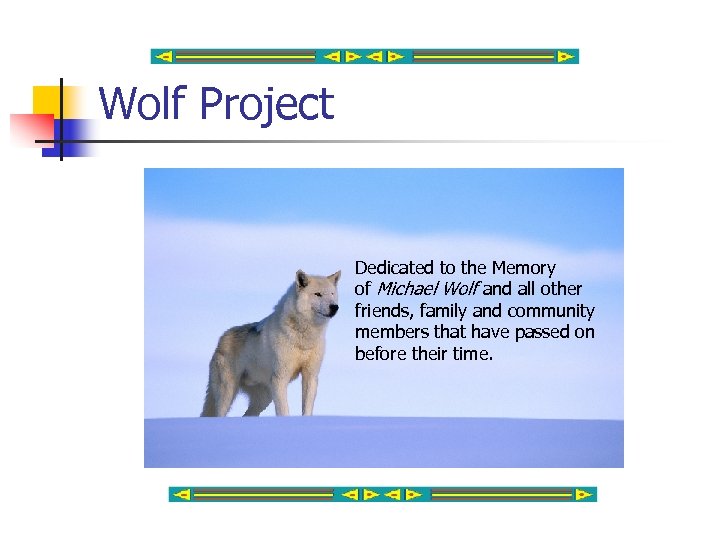 Wolf Project Dedicated to the Memory of Michael Wolf and all other friends, family