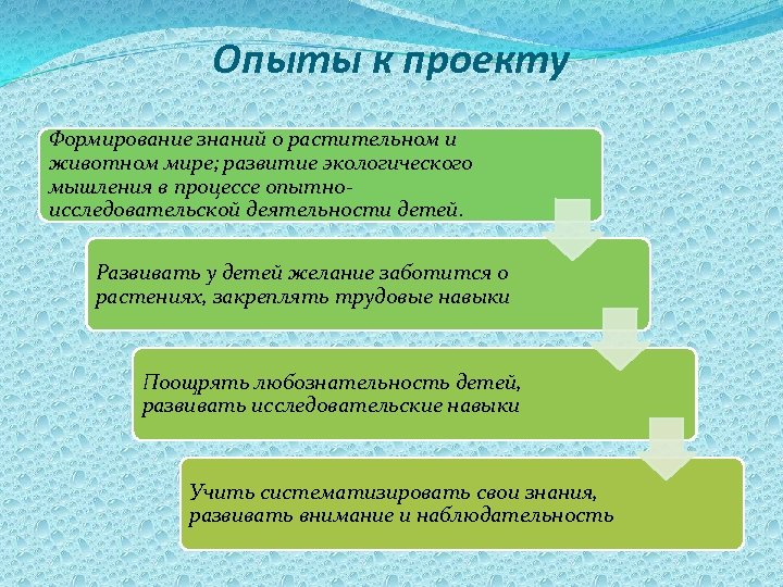Опыты к проекту Формирование знаний о растительном и животном мире; развитие экологического мышления в