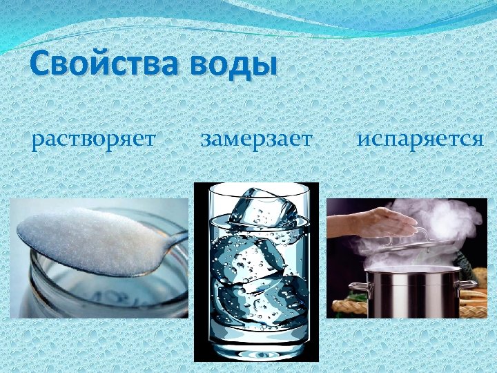 Свойства воды растворяет замерзает испаряется 