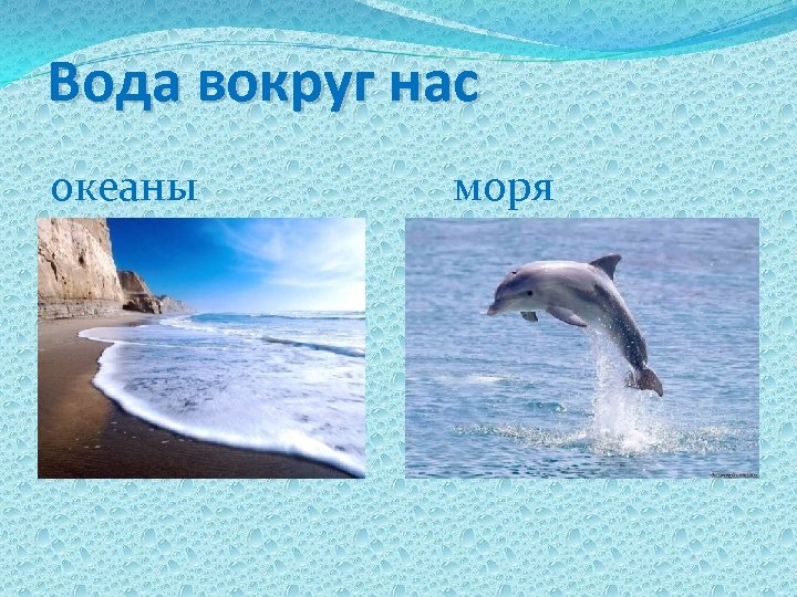 Вода вокруг нас океаны моря 