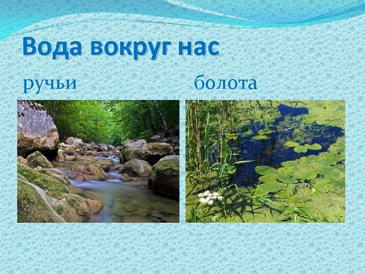Вода вокруг нас ручьи болота 