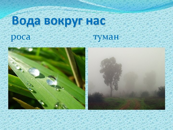 Вода вокруг нас роса туман 