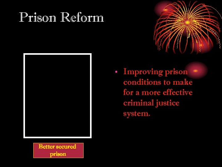 Prison Reform • Improving prison conditions to make for a more effective criminal justice