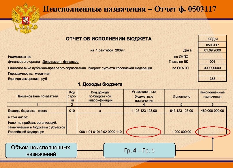 Образец заполнения формы 0503117