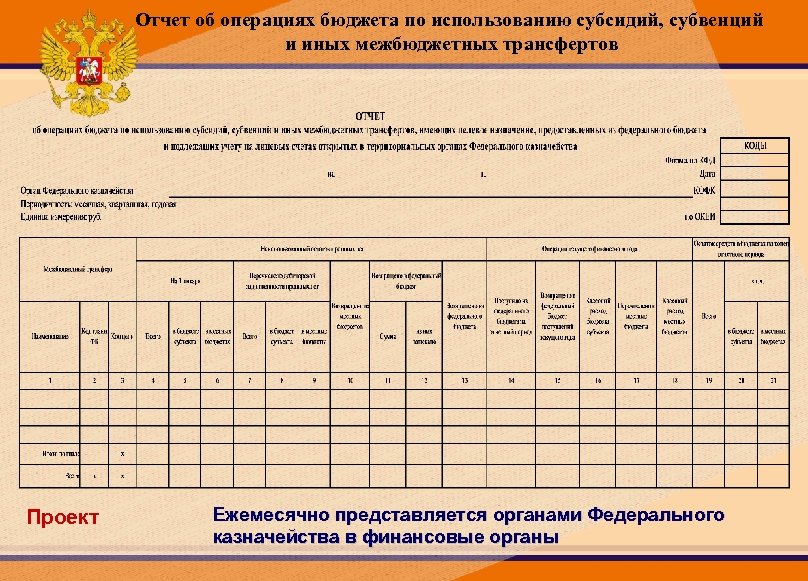 Отчет по исполнению бюджета образец