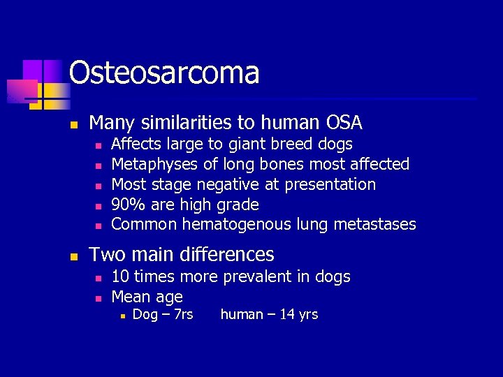 Osteosarcoma n Many similarities to human OSA n n n Affects large to giant