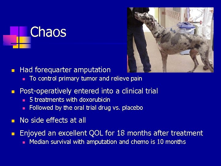 Chaos n Had forequarter amputation n n To control primary tumor and relieve pain
