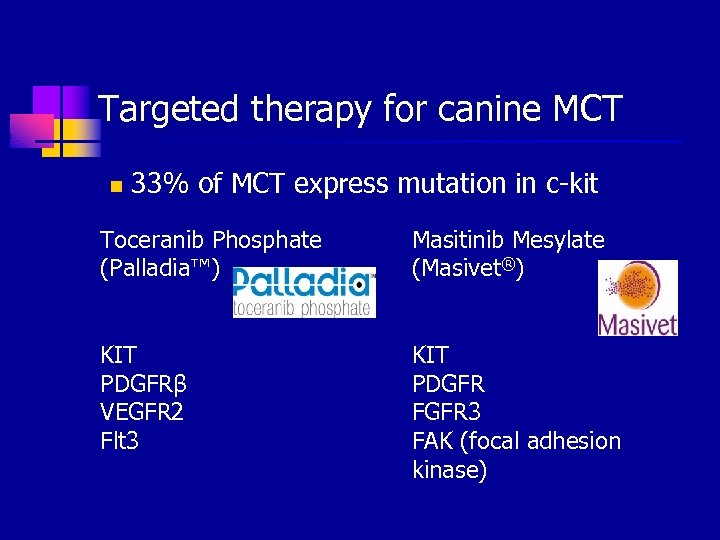 Targeted therapy for canine MCT n 33% of MCT express mutation in c-kit Toceranib