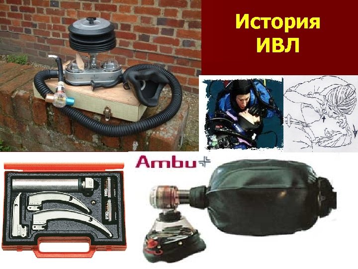 История ИВЛ с 1953 г. 