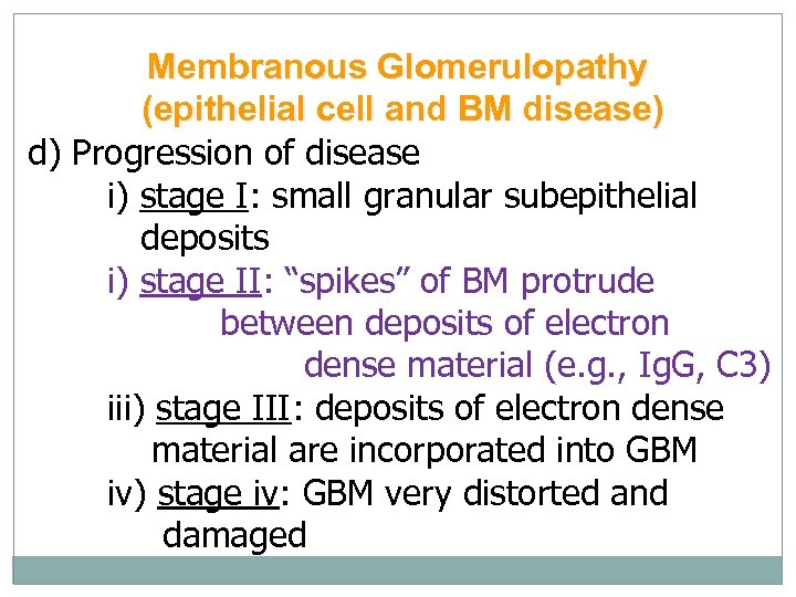 Membranous Glomerulopathy (epithelial cell and BM disease) d) Progression of disease i) stage I: