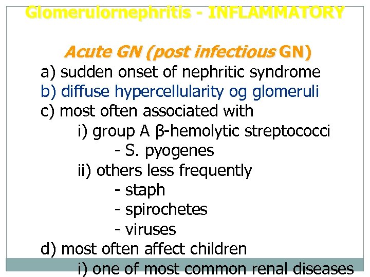 Glomerulornephritis - INFLAMMATORY Acute GN (post infectious GN) a) sudden onset of nephritic syndrome