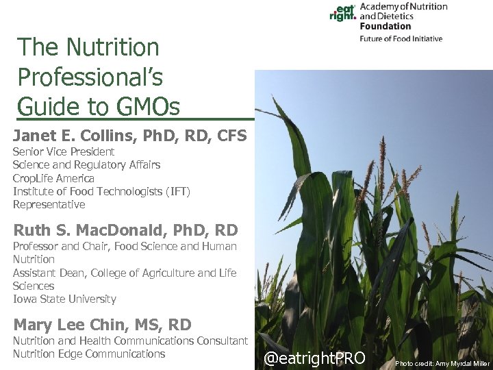 The Nutrition Professional’s Guide to GMOs Janet E. Collins, Ph. D, RD, CFS Senior