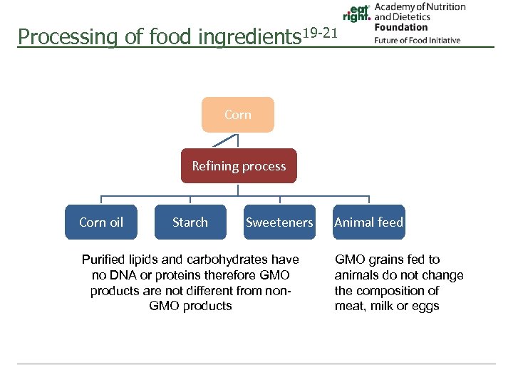 Processing of food ingredients 19 -21 Corn Refining process Corn oil Starch Sweeteners Purified