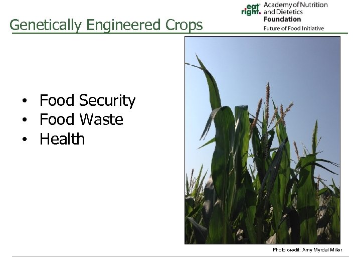 Genetically Engineered Crops • Food Security • Food Waste • Health Photo credit: Amy