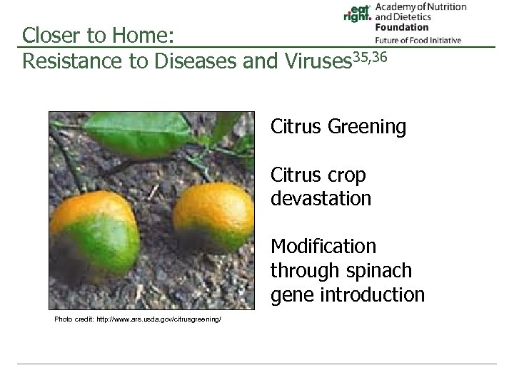 Closer to Home: Resistance to Diseases and Viruses 35, 36 Citrus Greening Citrus crop