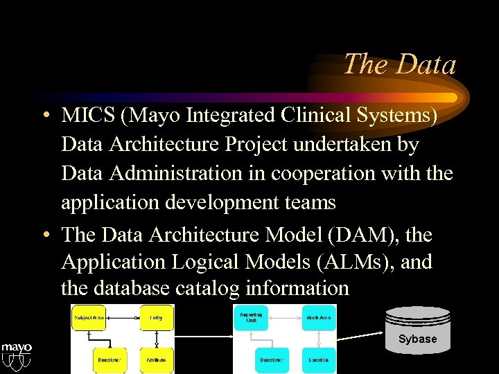 The Data • MICS (Mayo Integrated Clinical Systems) Data Architecture Project undertaken by Data