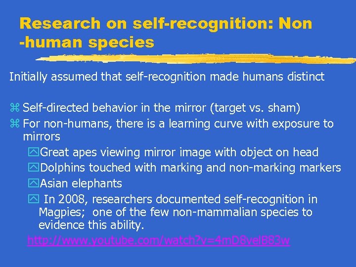 Research on self-recognition: Non -human species Initially assumed that self-recognition made humans distinct z