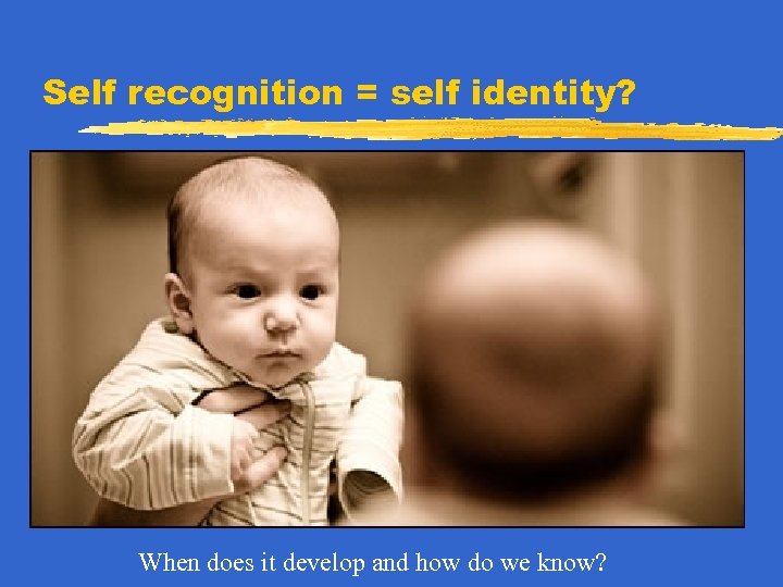 Self recognition = self identity? When does it develop and how do we know?