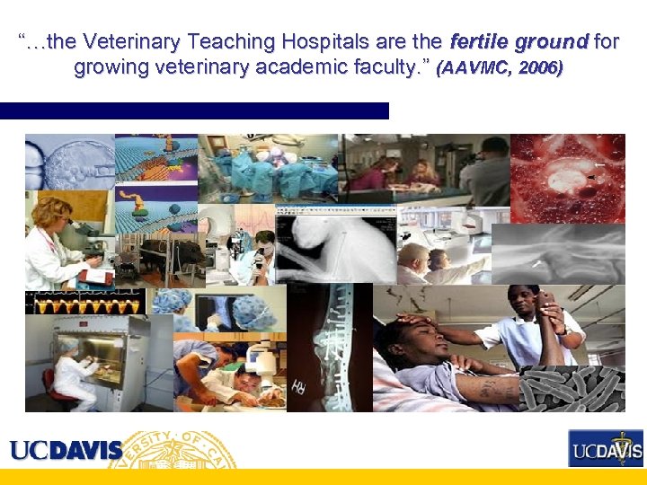 “…the Veterinary Teaching Hospitals are the fertile ground for growing veterinary academic faculty. ”