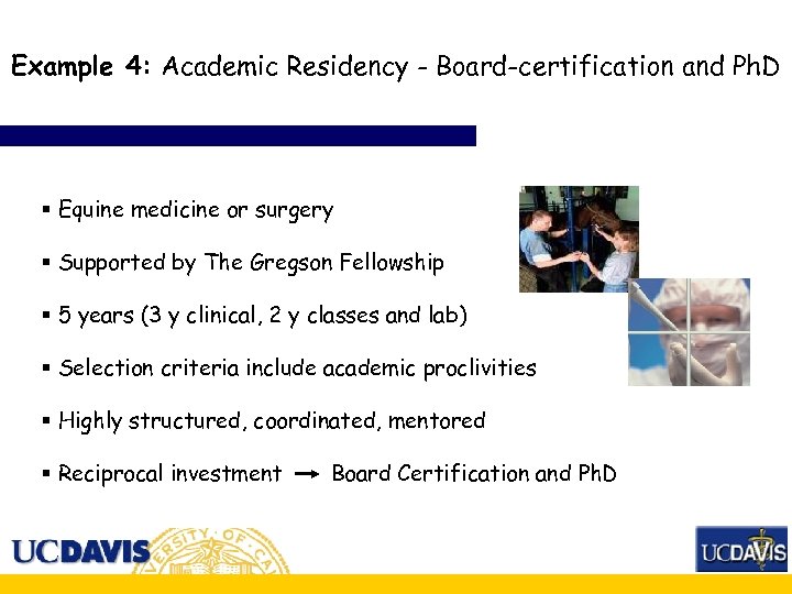 Example 4: Academic Residency - Board-certification and Ph. D § Equine medicine or surgery