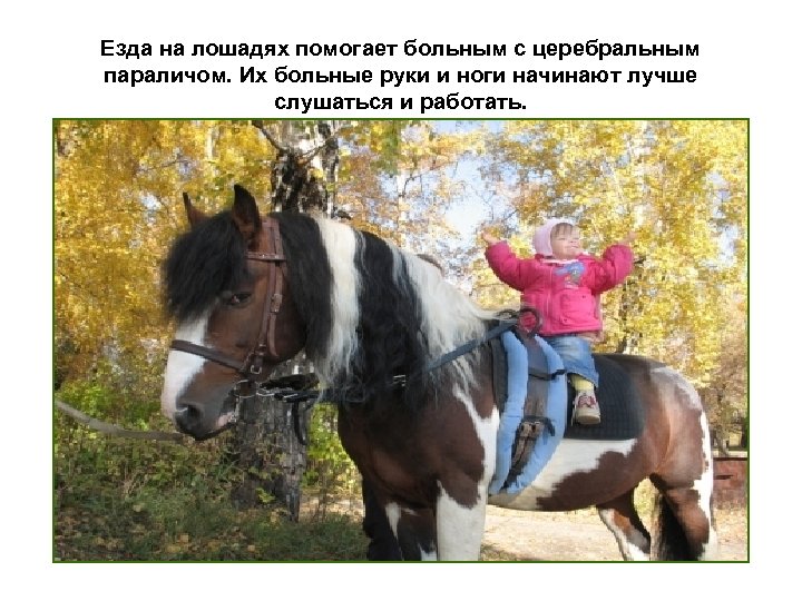 Езда на лошадях помогает больным с церебральным параличом. Их больные руки и ноги начинают