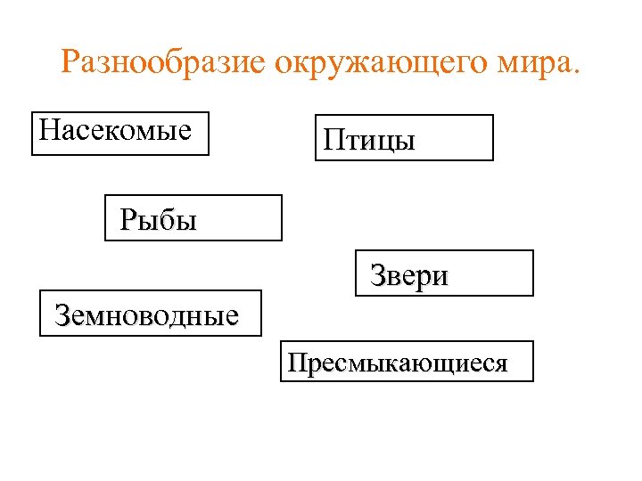 Разнообразие окружающего мира. Насекомые Птицы Рыбы Звери Земноводные Пресмыкающиеся 