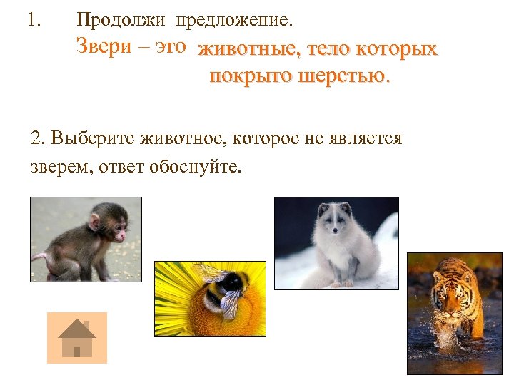 1. Продолжи предложение. Звери – это животные, тело которых покрыто шерстью. 2. Выберите животное,