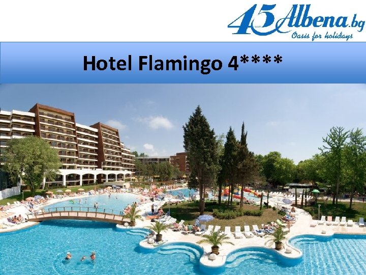 Hotel Flamingo 4**** 