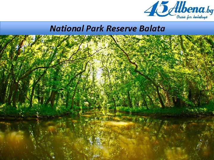 National Park Reserve Balata 