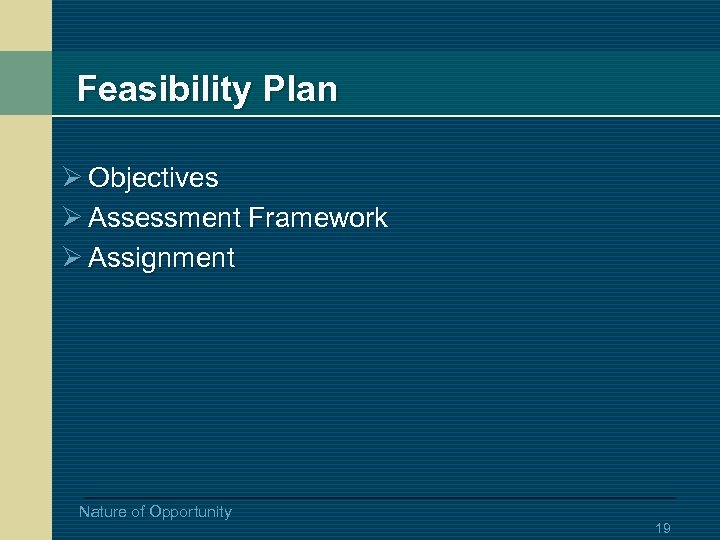 Feasibility Plan Ø Objectives Ø Assessment Framework Ø Assignment Nature of Opportunity 19 