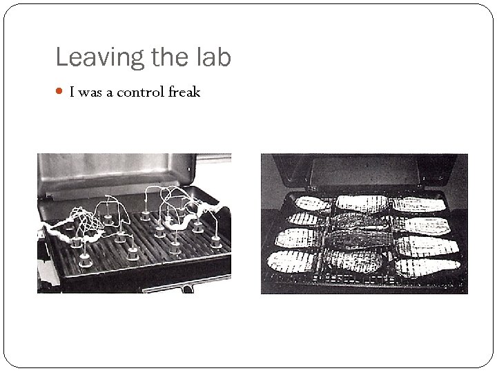 Leaving the lab I was a control freak 