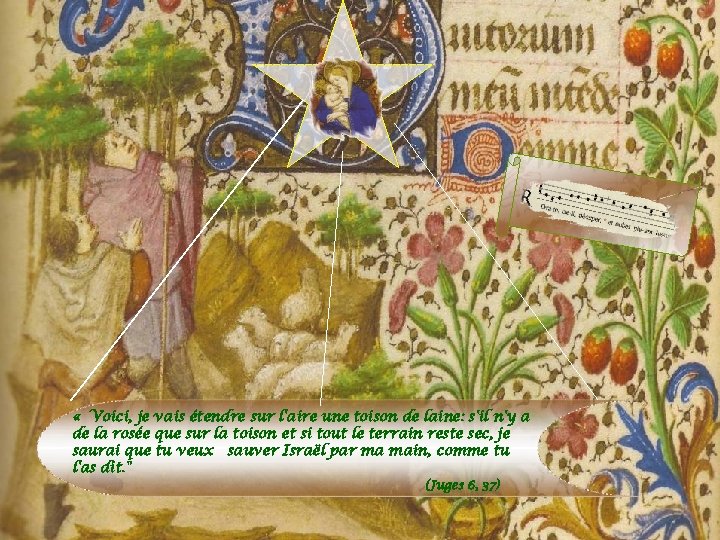  « Voici, je vais étendre sur l'aire une toison de laine: s'il n'y