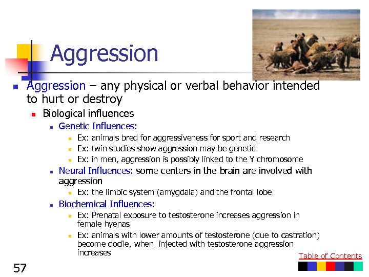 Aggression n Aggression – any physical or verbal behavior intended to hurt or destroy