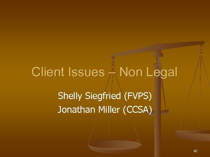 Client Issues – Non Legal Shelly Siegfried (FVPS) Jonathan Miller (CCSA) 45 