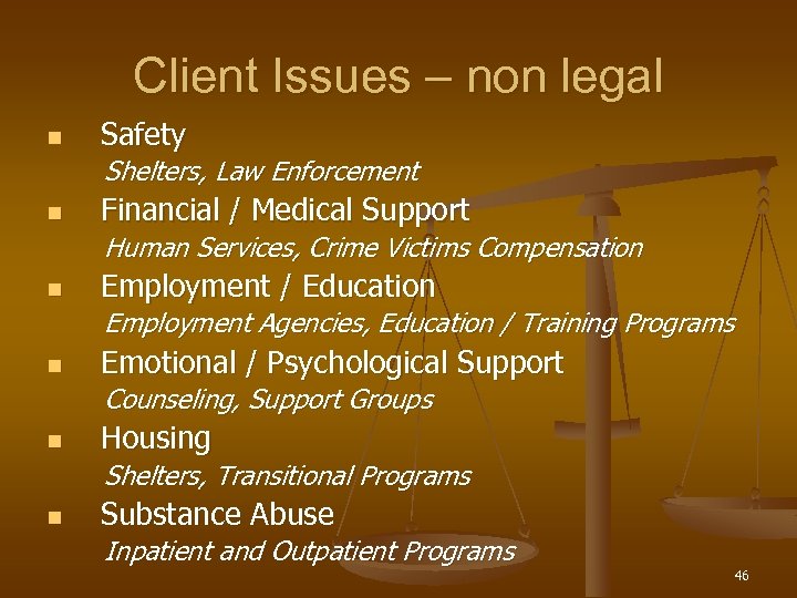 Client Issues – non legal n Safety Shelters, Law Enforcement n Financial / Medical