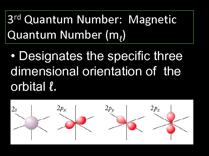 3 rd Quantum Number: Magnetic Quantum Number (mℓ) • Designates the specific three dimensional