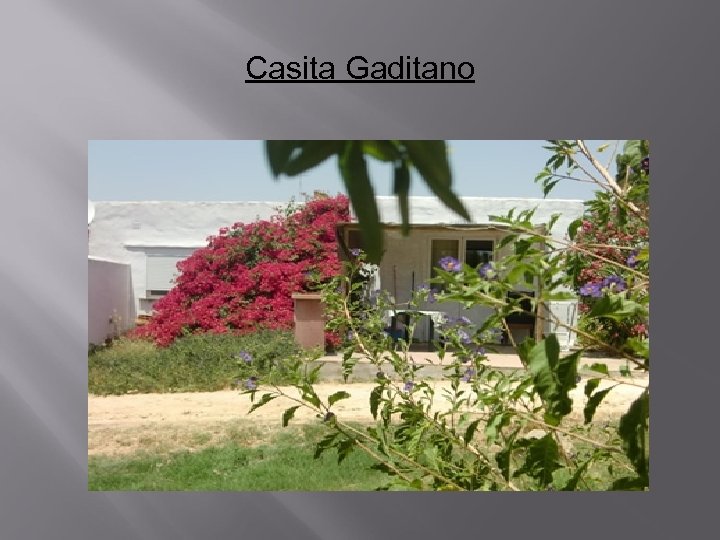 Casita Gaditano 