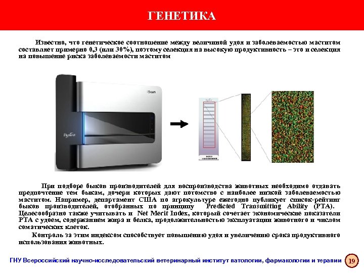 ГЕНЕТИКА Известно, что генетическое соотношение между величиной удоя и заболеваемостью маститом составляет примерно 0,