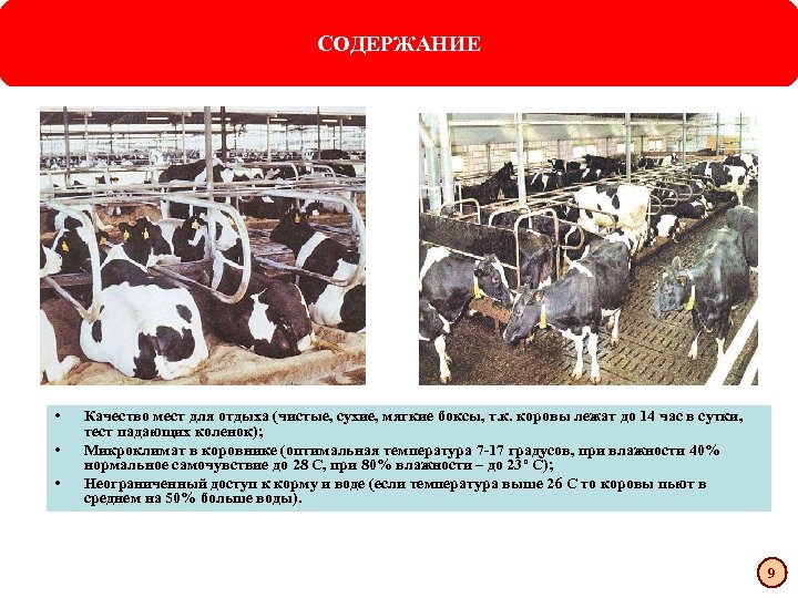 9 • • • СОДЕРЖАНИЕ Качество мест для отдыха (чистые, сухие, мягкие боксы, т.