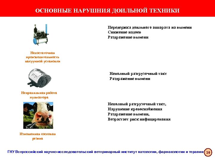 ОСНОВНЫЕ НАРУШНИЯ ДОИЛЬНОЙ ТЕХНИКИ Передержка доильного аппарата на вымени Снижение надоев Раздражение вымени Недостаточная