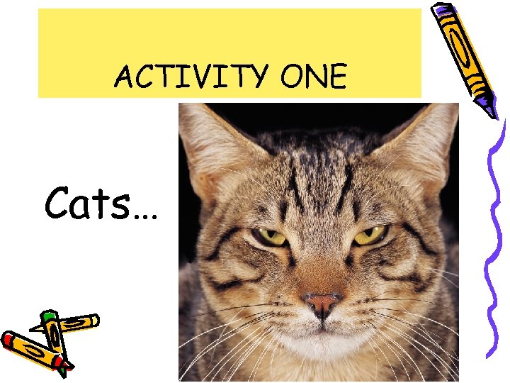 ACTIVITY ONE Cats… 