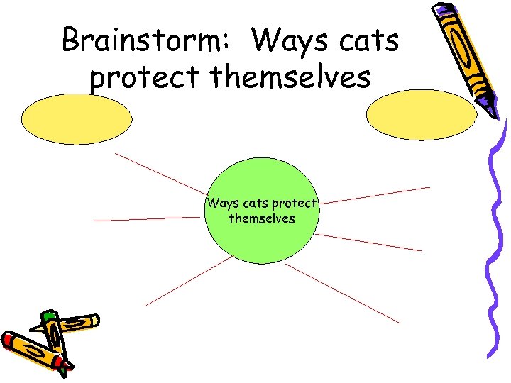 Brainstorm: Ways cats protect themselves 