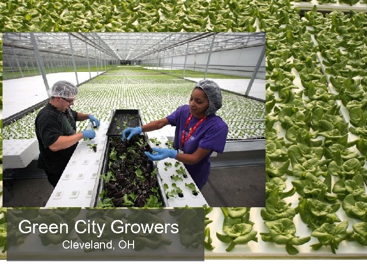 Green City Growers Cleveland, OH 