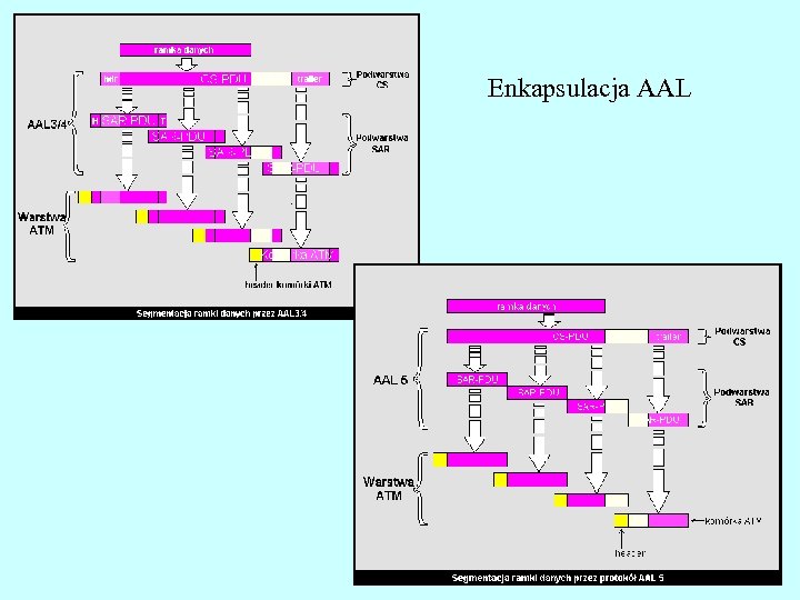 Enkapsulacja AAL 