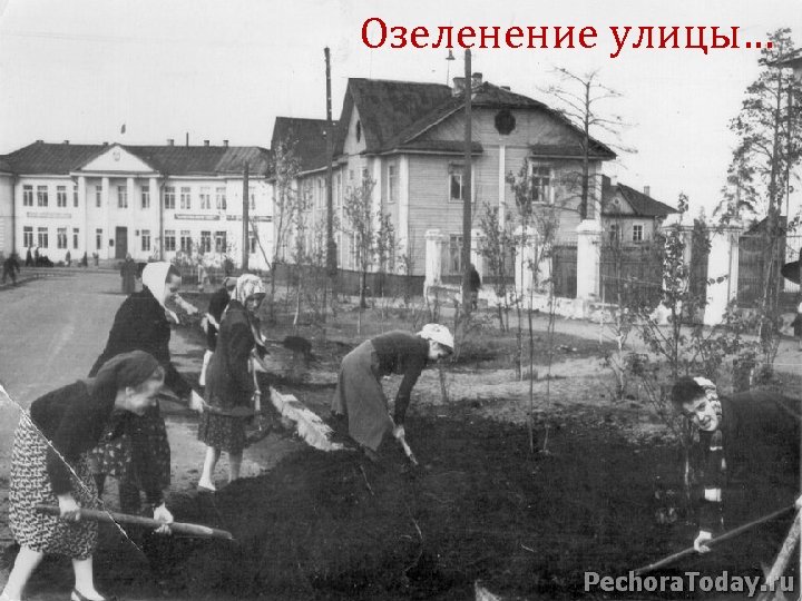 Озеленение улицы… 