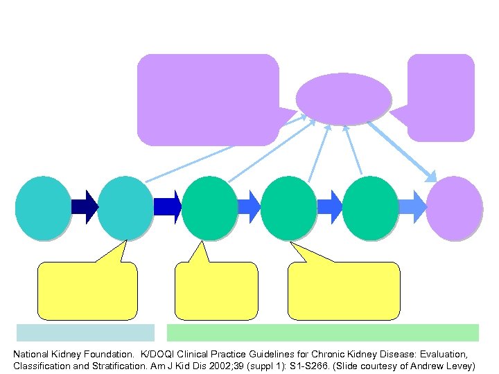 National Kidney Foundation. K/DOQI Clinical Practice Guidelines for Chronic Kidney Disease: Evaluation, Classification and