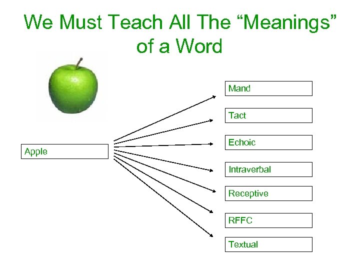 We Must Teach All The “Meanings” of a Word Mand Tact Apple Echoic Intraverbal