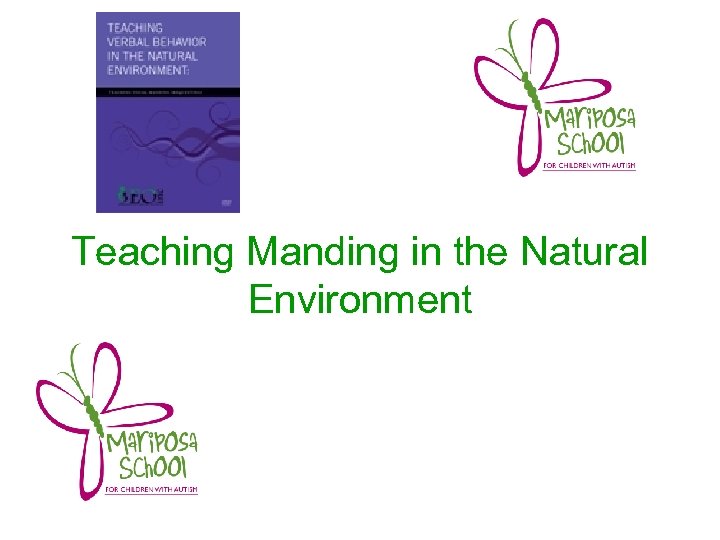 Teaching Manding in the Natural Environment 