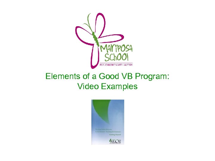 Elements of a Good VB Program: Video Examples 