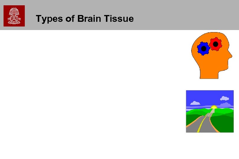 Types of Brain Tissue 